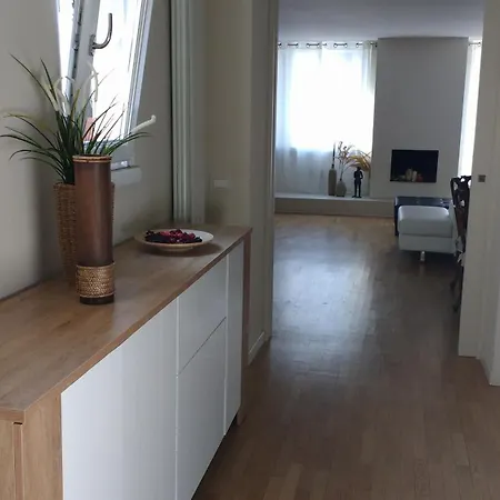 Mare Blu 公寓 维亚雷焦